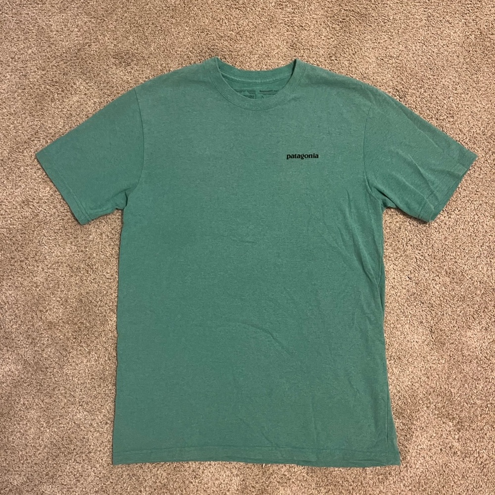 Patagonia Logo Shirt, medium, green